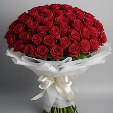 Букет 101 Красная роза Блэк Мэджик #REPLACE_PRED# Родниках Московской области