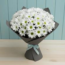 Букет цветов из:  Хризантемы в Родниках Московской области