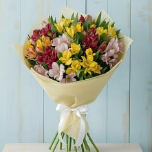 Букет цветов из:  Альстромерии #REPLACE_PRED# Родниках Московской области