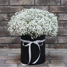 Цветочная композиция из Гипсофила в шляпной коробке #REPLACE_PRED# Родниках Московской области