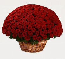 Премиум букет из: Розы #REPLACE_PRED# Родниках Московской области